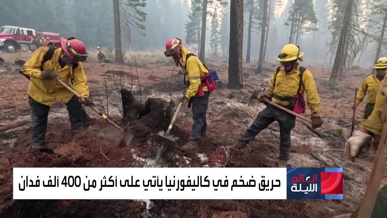 دمرت 400 ألف فدان.. حرائق الغابات تستعر في ولاية كاليفورنيا للأسبوع الثاني