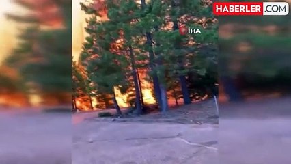 California tarihinin en büyük 4. orman yangını: 400 bin dönümden fazla alan kül oldu