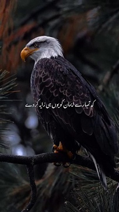 Don_t live in yesterday_s mindset. Shake off what didn_t work. Focus to achieve what you want. Nothing comes easy. The Almighty has given you much_ so make use of the faculties you have and don_t (