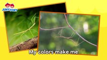 Hidden Insects Wherever You Are- Insect Hide-and-Seek Kids Songs - Stories JunyTony