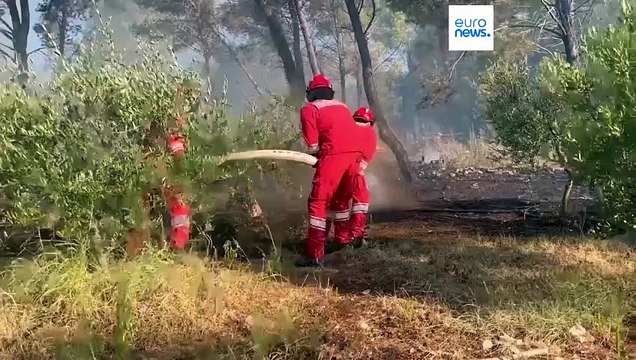 Firefighting teams tackle wildfires in Albania and Croatia as heatwave blisters region