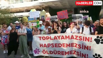 Ankara'da Hayvanseverler Başıboş Sokak Köpeklerinin Toplatılmasını Protesto Etti