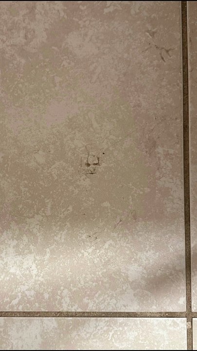Seeing Faces in Everyday Objects - Part 93