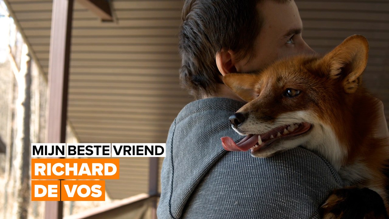 Mijn beste vriend: geen hond of kat, maar een vos
