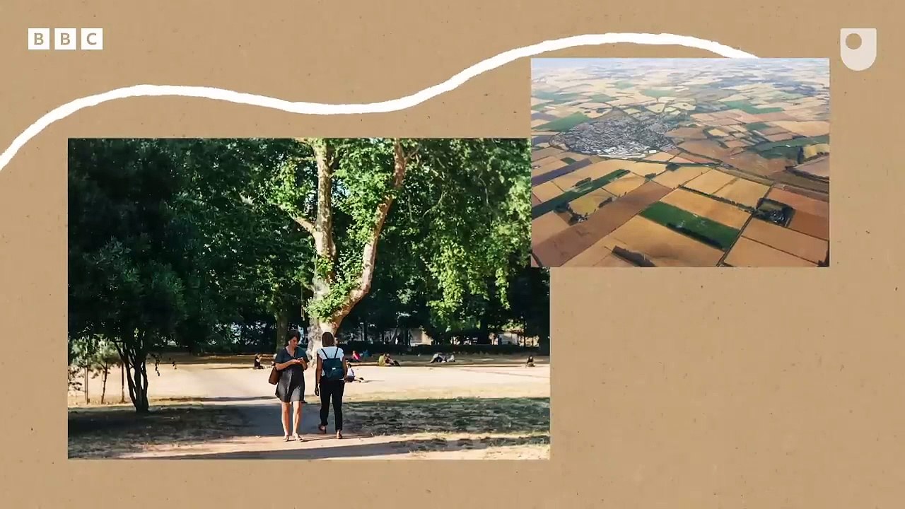 How do heatwaves affect our mental health_ _ BBC )