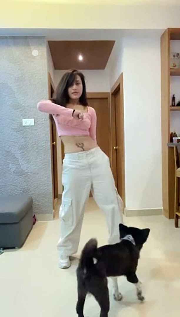 Entertainment videos