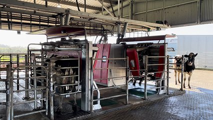 Gippsland Dairy Farmers Boost Efficiency with 10 New Milking Robots 🤖