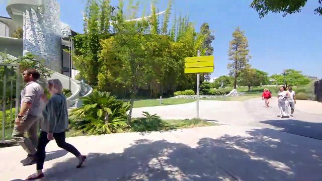 Lacma and La Brea Tar Pits Walking Tour