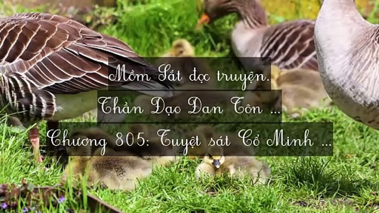 Mới 2024 Chương 805-819: Thần Đạo Đan Tôn