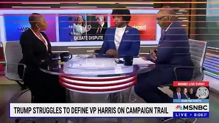 Michael Steele Criticizes Trump's "Horror Show" Comment on Kamala Harris