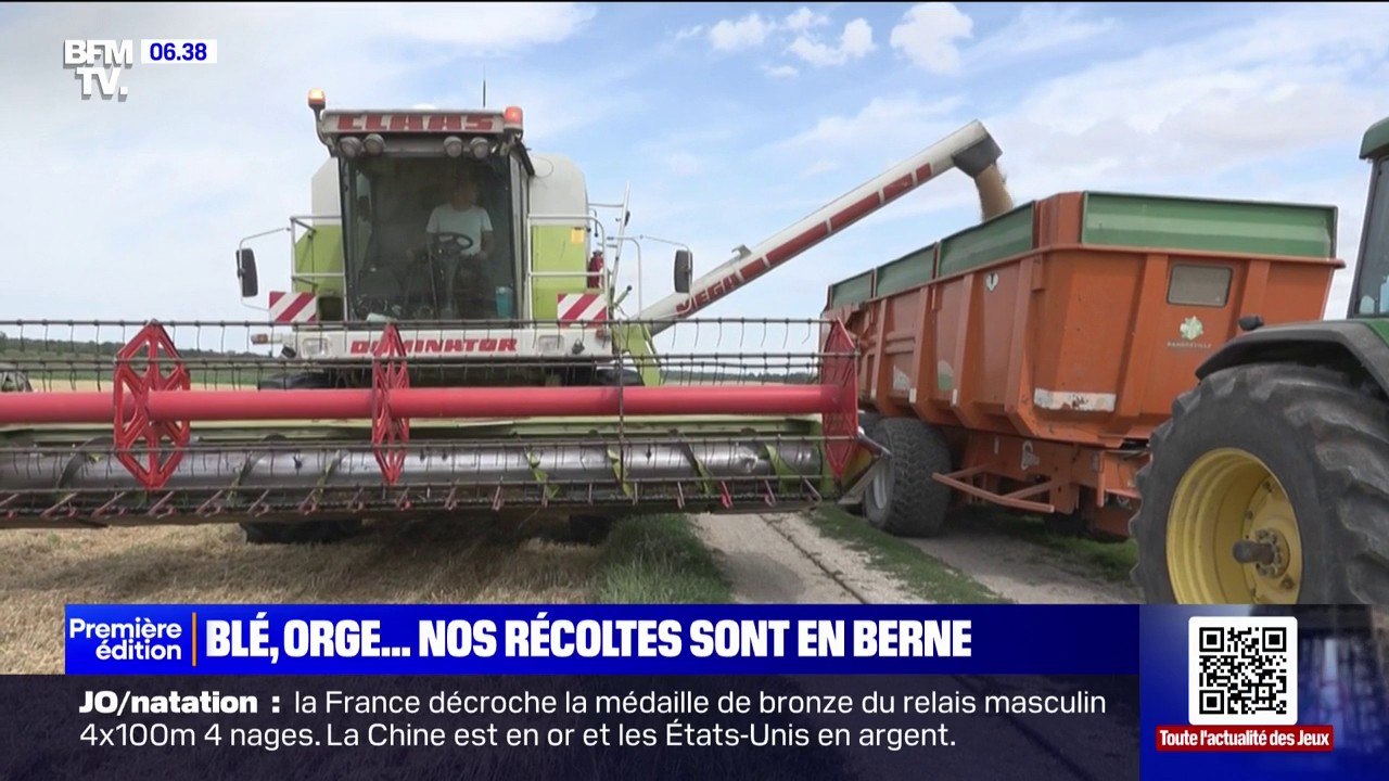Blé, orge: les récoltes des agriculteurs céréaliers sont en berne à cause des fortes pluies