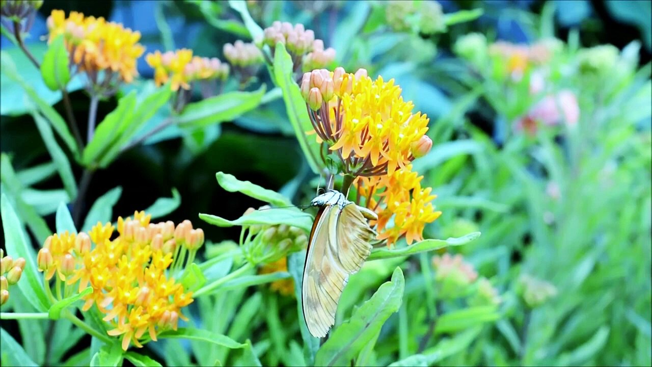 "Relaxing Pure Music for Removing Negative Moods | Generate Positive Energy | Deep Sleep & Spiritual