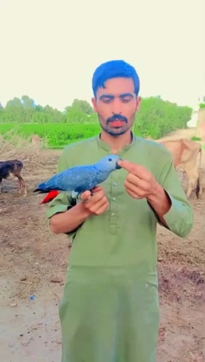 VID-20240713-WA0058