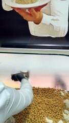 Italian chef amazing cooking  style ♥️