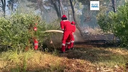 Bombeiros combatem incêndios na Albânia e na Croácia enquanto a vaga de calor assola os países