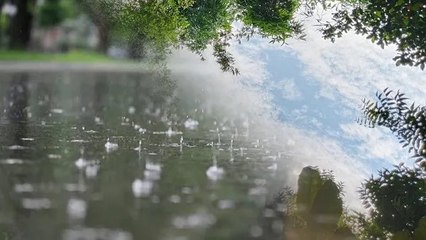बिहार में भारी बारिश से राहत और परेशानियां, जानिए आज का मौसम अपडेट 🌧️