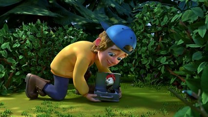 "The Lumberjack & the Woodpecker"