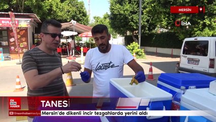 Mersin'de dikenli incir tezgahlarda yerini aldı
