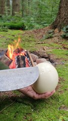 Wait for the end ...