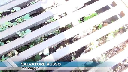 IN VIA CARRAI L'ACQUA SI SPRECA