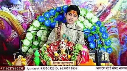 जब जब होई धर्म की हानि __ Bal Shuk Anurag Krishna Ji Maharaj __ Bhajan2024