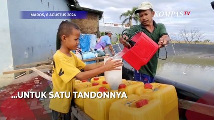 Download Video: Sumur Tadah Hujan di Maros Mengering, Warga: Belum Ada Air PDAM ke Rumah Kami