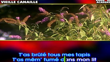 Gainsbourg/Mitchell — Vieille Canaille | KARAOKÉ ACADEMY – VOLUME 12