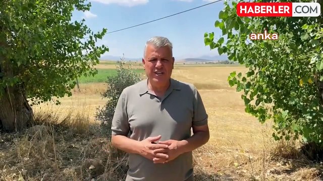 CHP Milletvekili Ayhan Barut, Ayçiçeği İthalatına Tepki Gösterdi