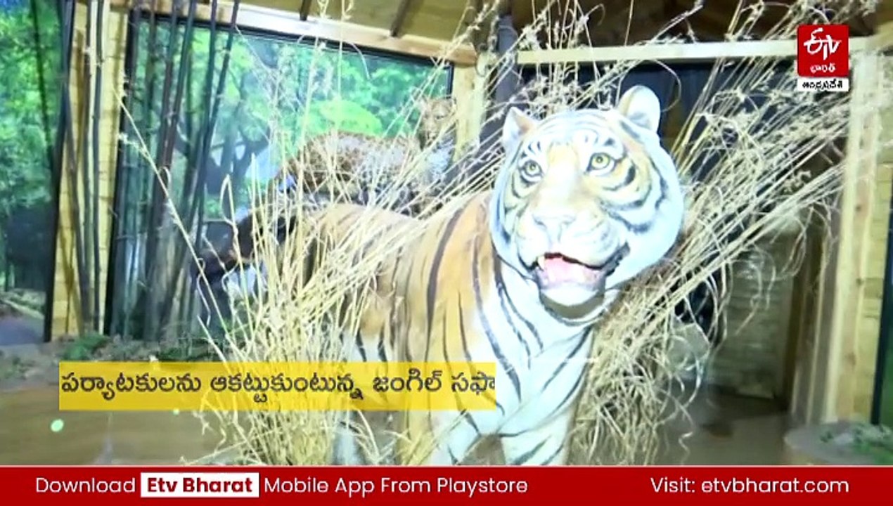 పర్యాటకులను ఆకట్టుకుంటున్న జంగిల్‌ సఫారి