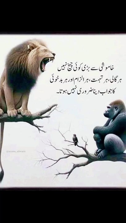 خاموشی سے بڑی کوئی چیخ نہیں #trending#viral#shorts#islamic#foryou#dailymotion#share