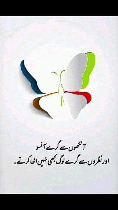 اور نظروں سے گرے لوگ کبھی نہیں اٹھا کرتے #trending#viral#shorts#islamic#foryou#dailymotion#share