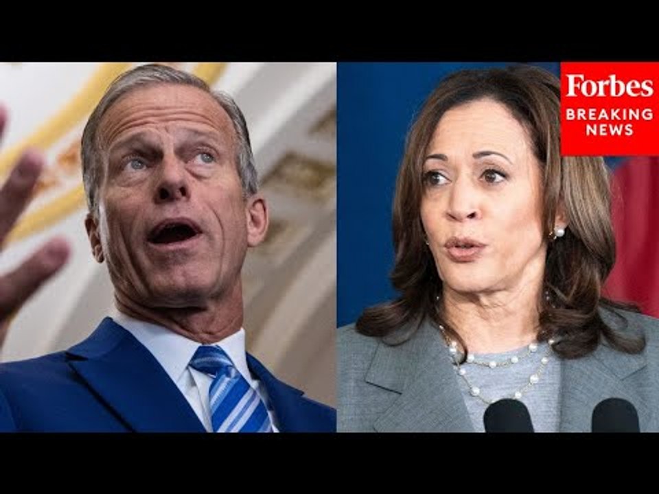 'Utter And Dismal Failure': John Thune Blasts Kamala Harris Over Border Security
