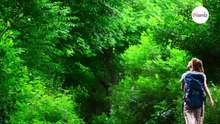 Frau hört ein Wimmern im Wald: Als sich der Boden bewegt, packt sie das Grauen