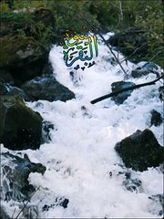 Quran Pak Urdu Translation #urdu #translationquranandislam #qurantranslationhd #quran