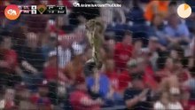 Amazing Animal Interference Moments in Sports!⚾ #wildlife #nature #animals