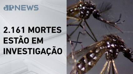 Brasil se aproxima de 5 mil mortes por dengue em 2024