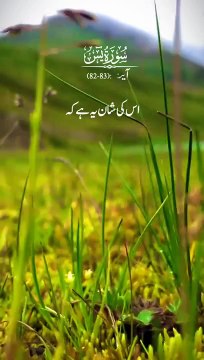 surah e yaseen urdu translation ayat 82،83 #alquran#islamic video#islam