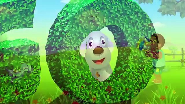 BINGO Dog Song - Nursery Rhyme With Lyrics - Cartoon Animation Rhymes _ Songs for Children(360P)