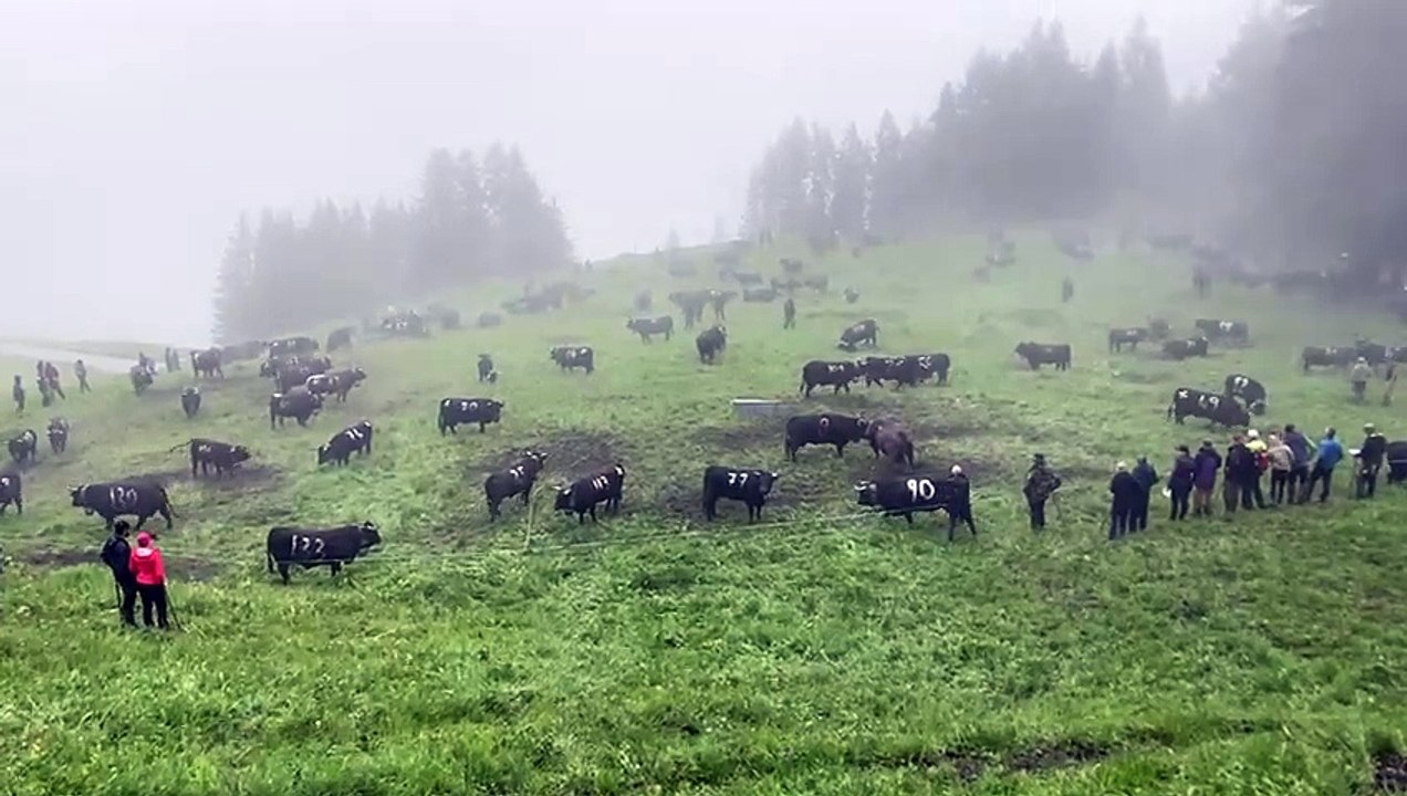 The InAlpes festival in the Val de Bagnes