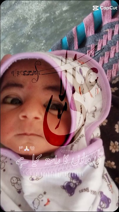 wafa.e.abbas