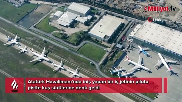 Atatürk Havalimanı'nda kuş alarmı! 'Bir sıkıntı var mı uçakta?'