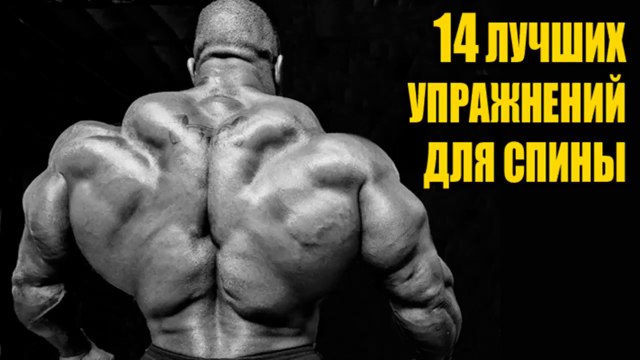 14 ЛУЧШИХ УПРАЖНЕНИЙ ДЛЯ СПИНЫ - КАЧАЕМ СПИНУ ПРАВИЛЬНО