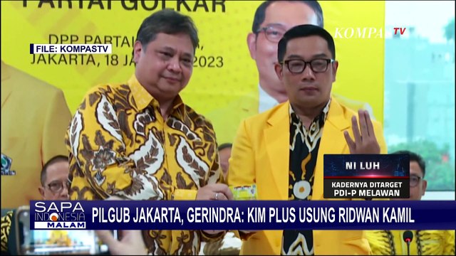 Usung Ridwan Kamil di Pilgub Jakarta, Dasco Ungkap Nama Bacawagub dan KIM Plus dalam Waktu Dekat