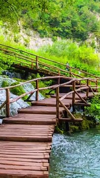 Welcome to Soothing Relaxation Home of Relaxing Music & Beautiful Nature