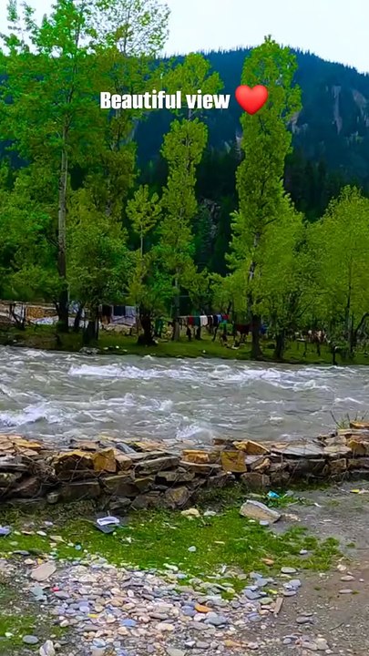 Natural view