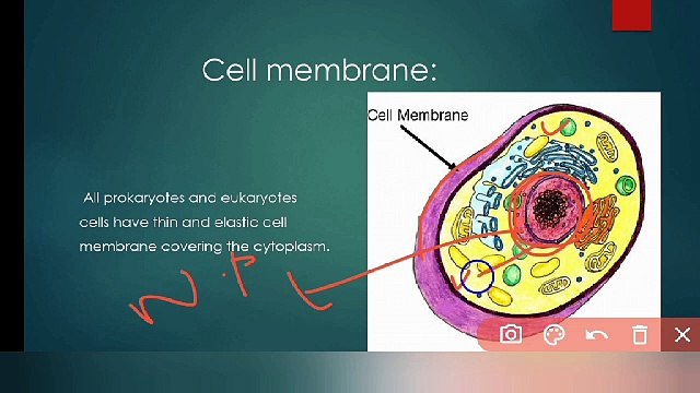 cellular structure and function in Urdu | class 9 Biology | cell wall, cell membrane, cytoplasm and cytoskeleton | cells and tissues | chp # 4 | Lec # 6