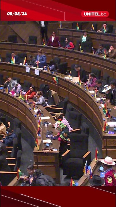 Elecciones judiciales: 16 aplazados figuran en la lista de preseleccionados al TCP, según jefe de la bancada del MAS.