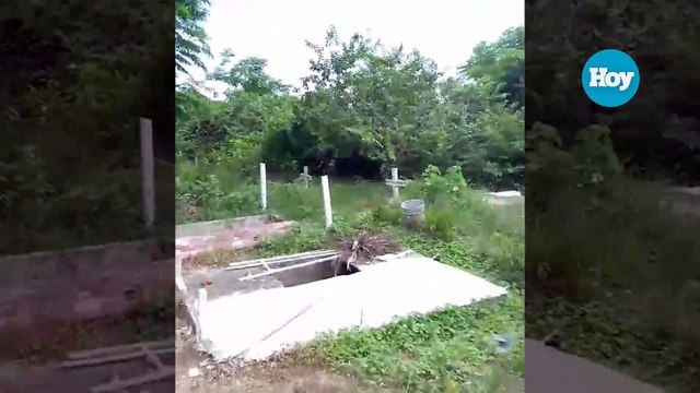 En “un monte abandonado” se ha convertido el cementerio de los Alcarrizos