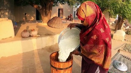 Embracing Simplicity: A Day in Village Life