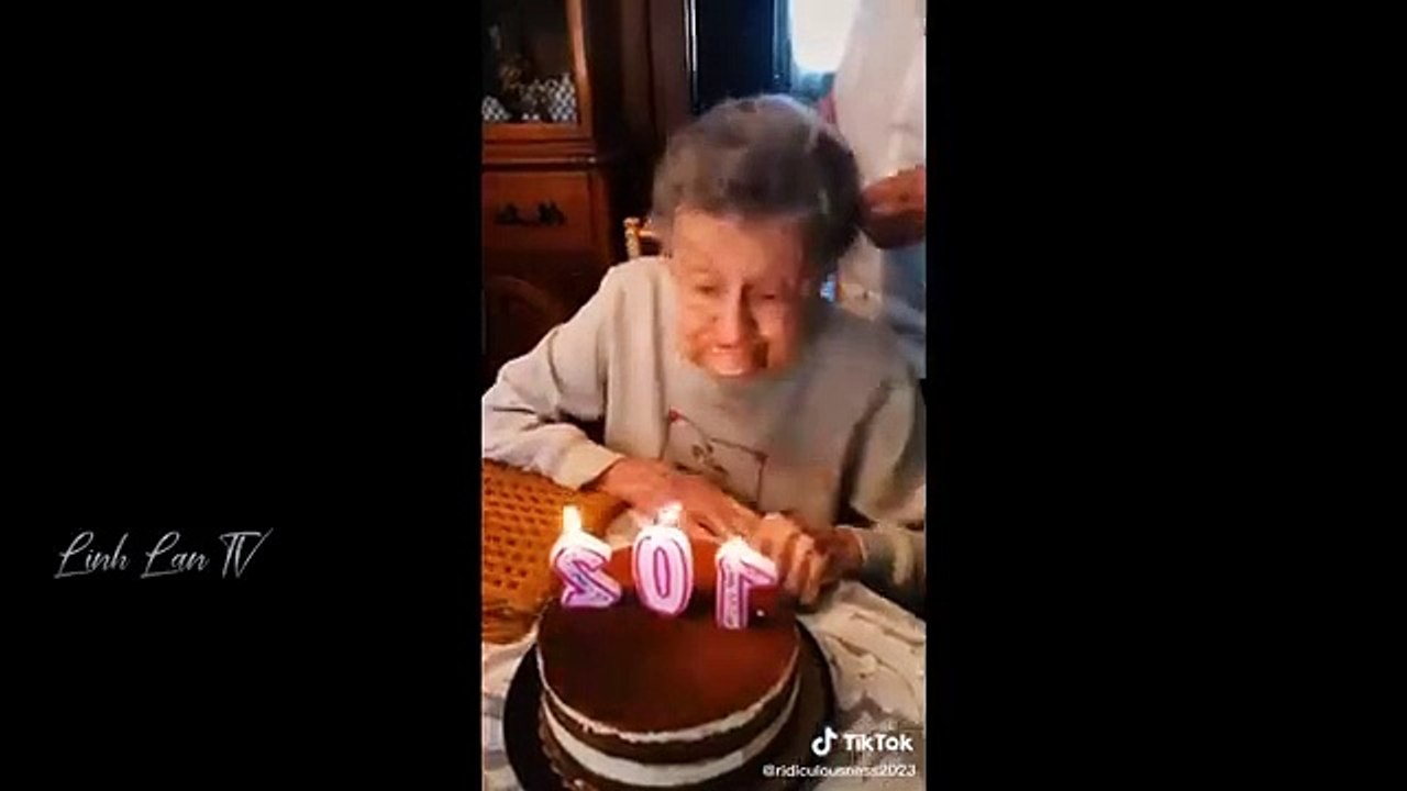 Collection of Funny Moments of the Year